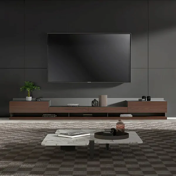 Modern TV Stand