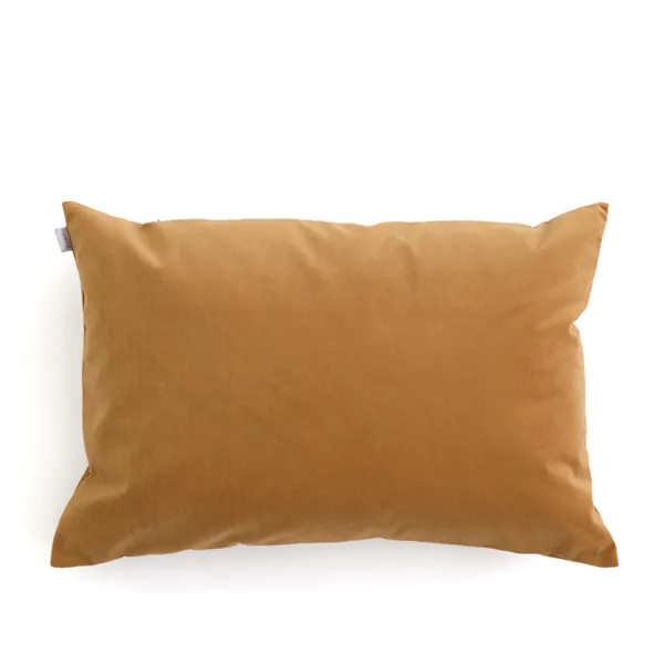 pillow 2 5