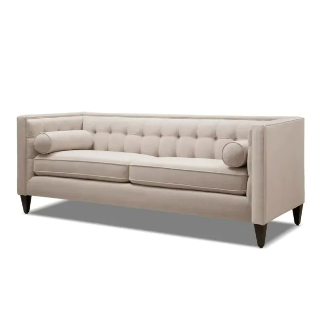 elegant Couch 1