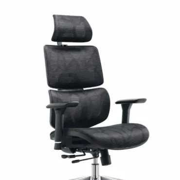 ARPHEN Executive High Back Mesh Chair