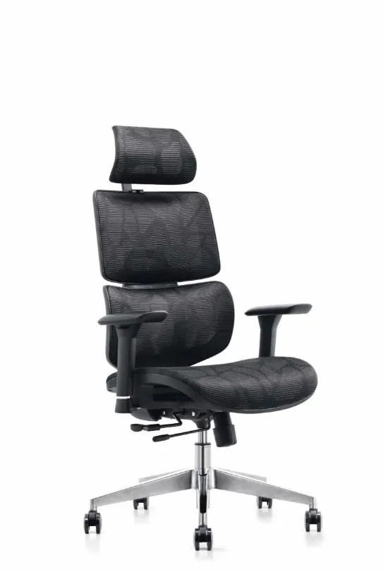 ARPHEN Executive High Back Mesh Chair