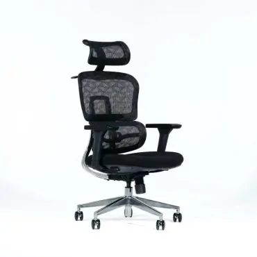 Ceyda Ergonomic Chair