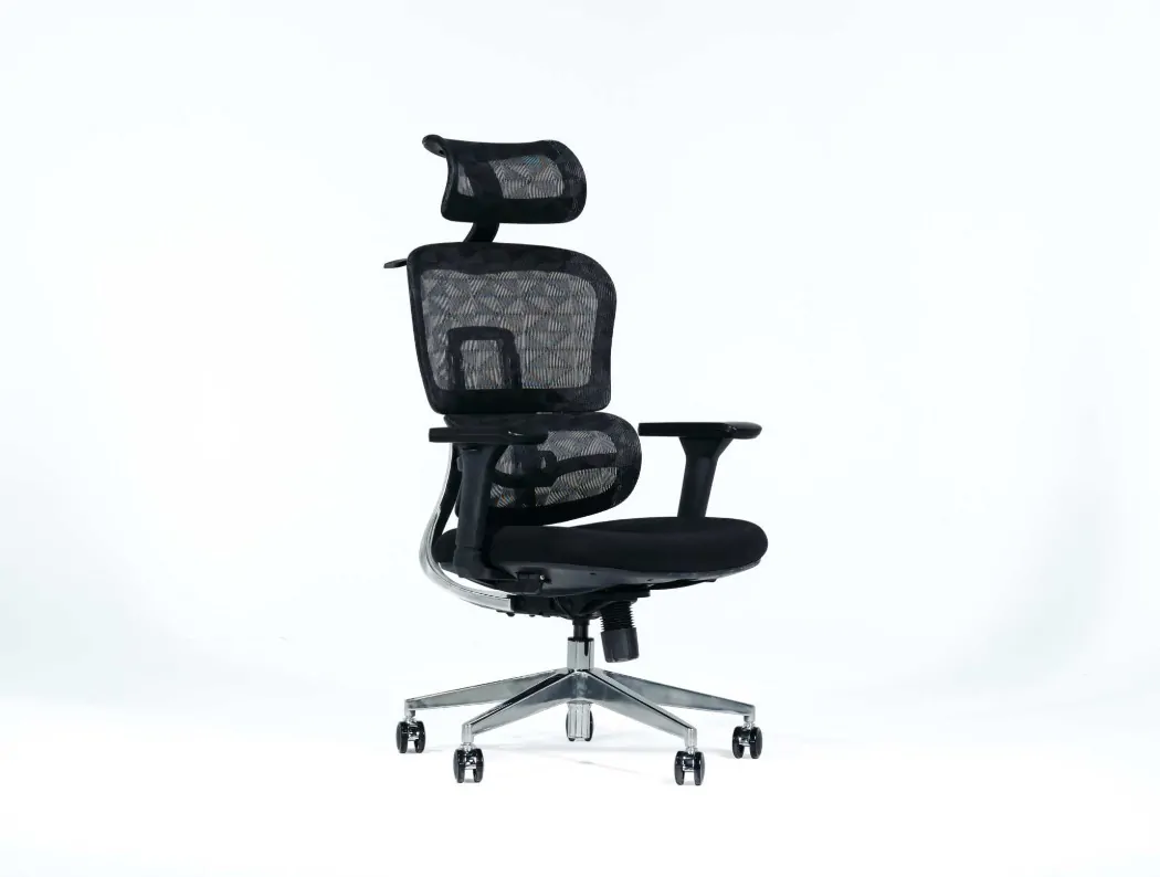 Ceyda Ergonomic Chair without Foot Rest 1 Ceyda Ergonomic Chair
