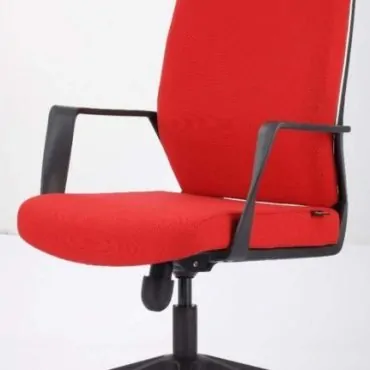 Executive Office Chair