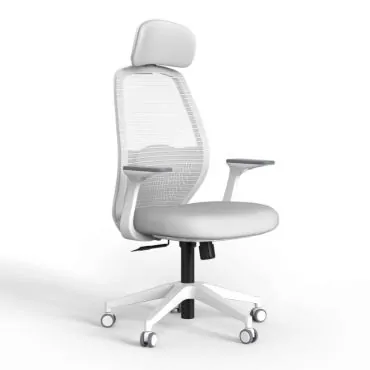 Orca Office Chair