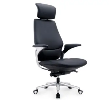 Transformative Elegance Office Chair